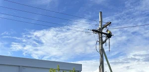 Level 2 Electrician 24hr Emergency